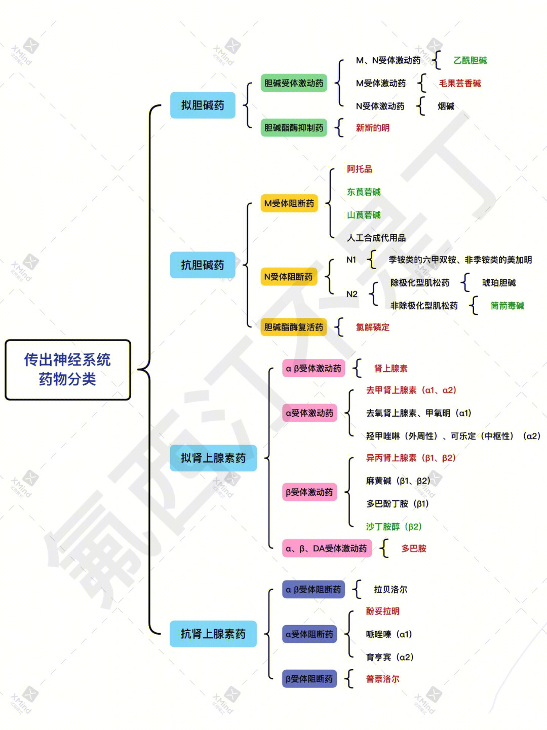 药理学思维导图第六章图片