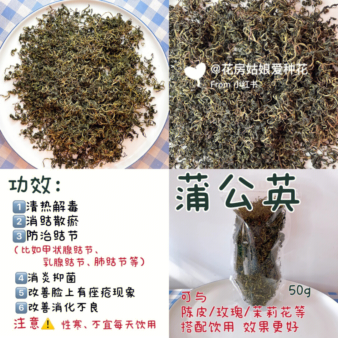 蒲公英茶#蒲公英根茶#花房姑娘爱种花#甲状腺结节#乳腺结