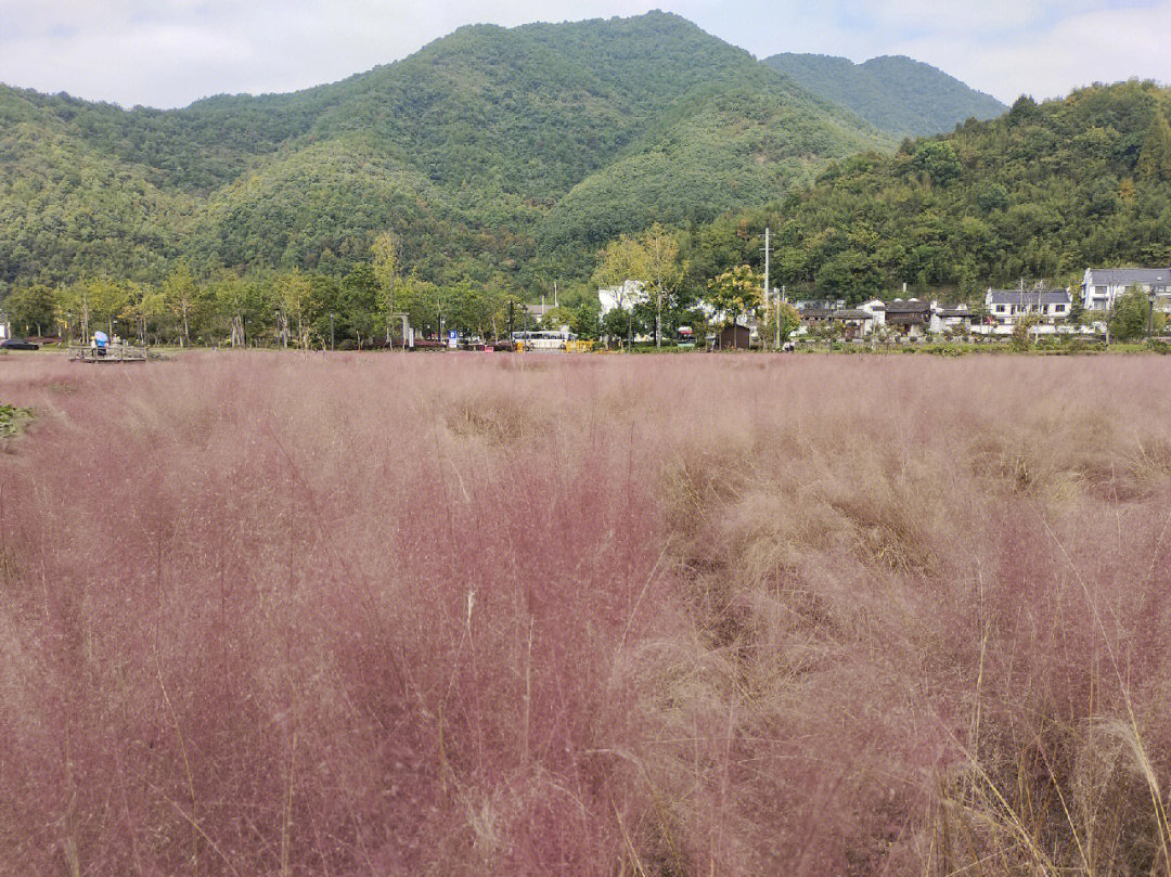 富阳龙门森林公园图片