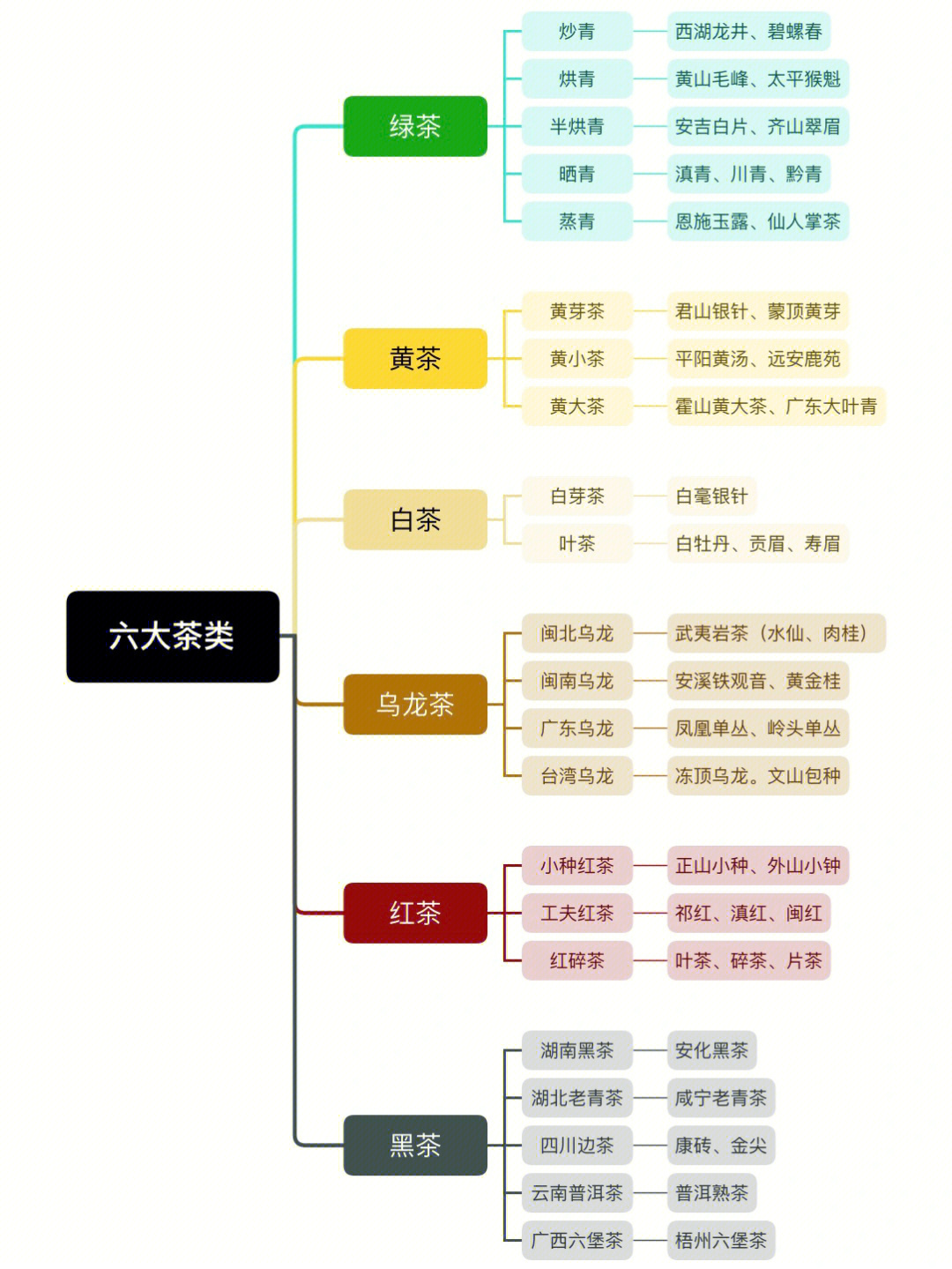 茶分类图解图片