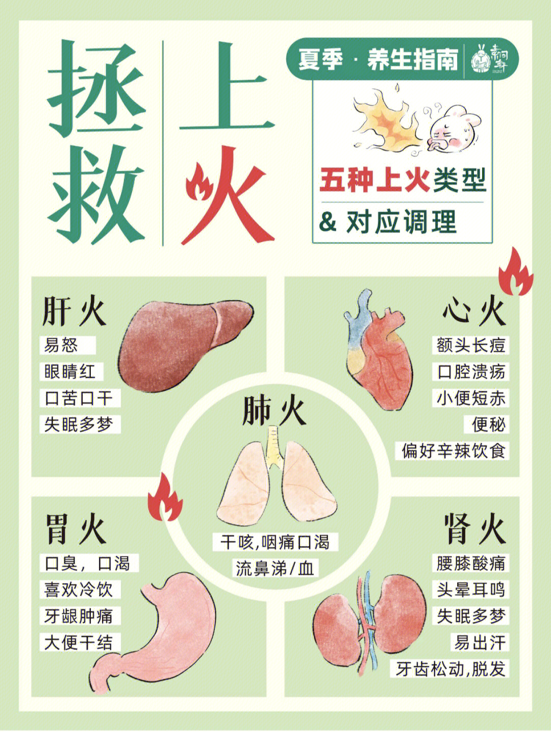 夏天到了不少宝宝和小素反馈近期很容易上火,老是口腔溃疡,冒痘痘,那