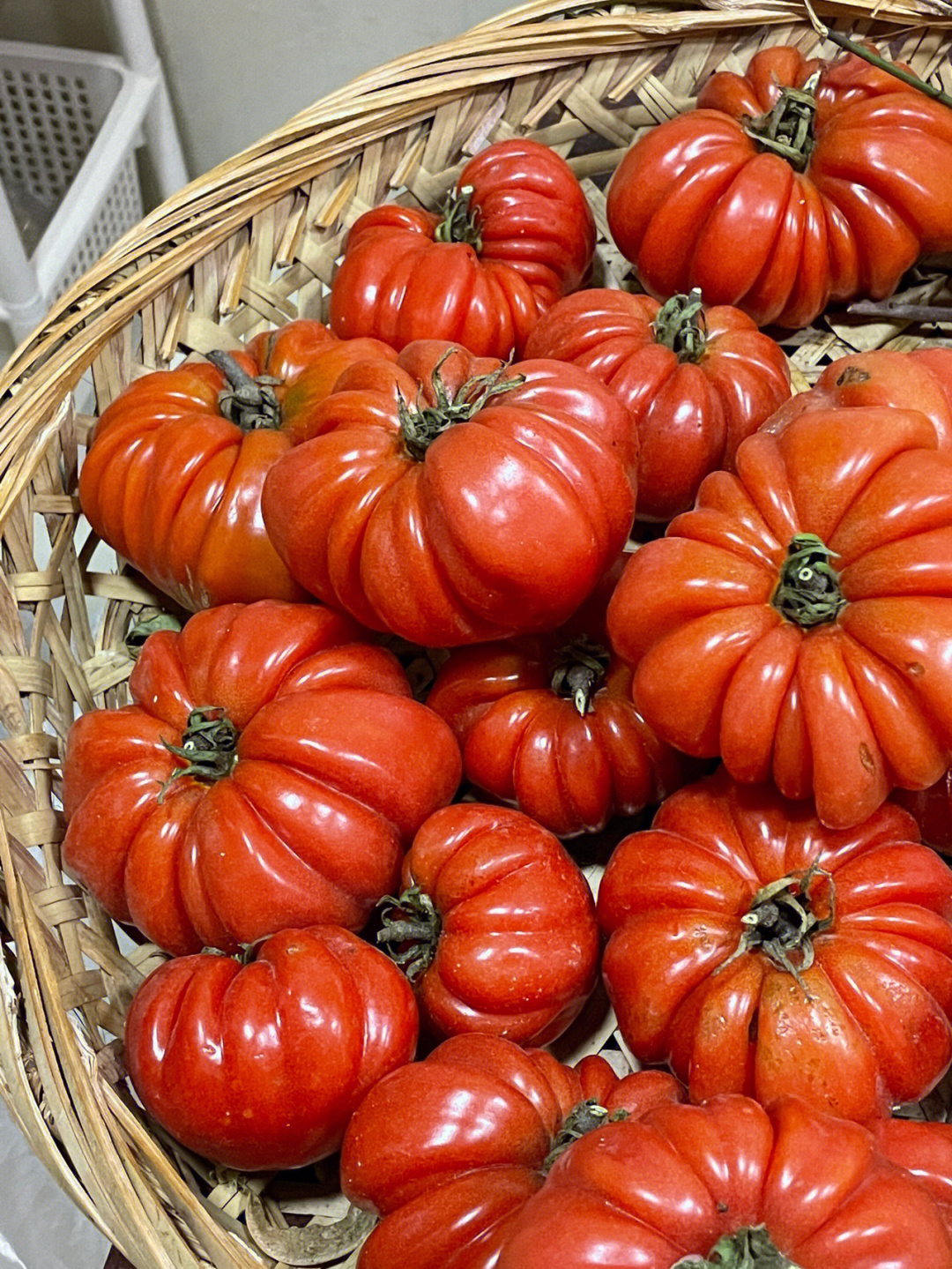 南茅北马番茄图片