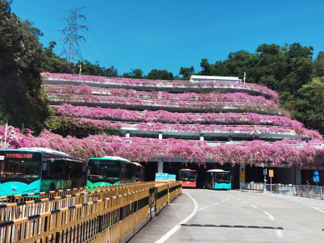 深圳最美停车场图片