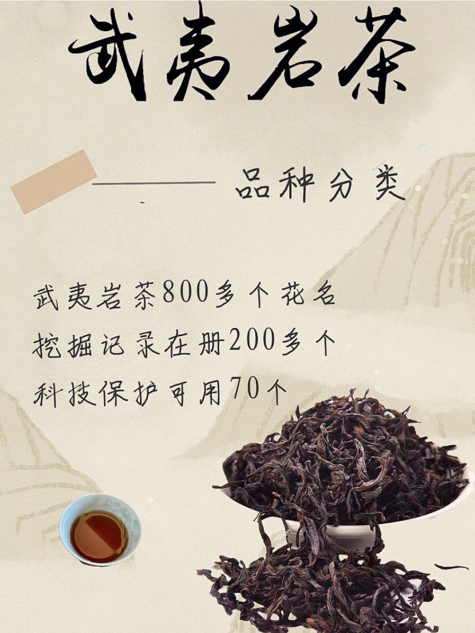 本片文章认真整理春干货详细讲解种类繁多的武夷岩茶分类,值得收藏