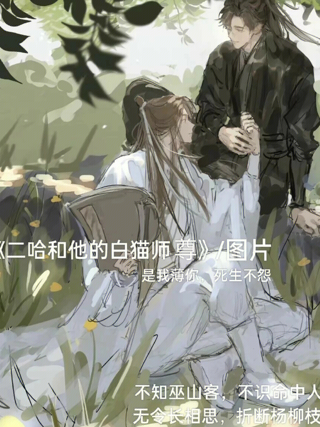 二哈和他的白猫师尊#楚晚宁#墨燃