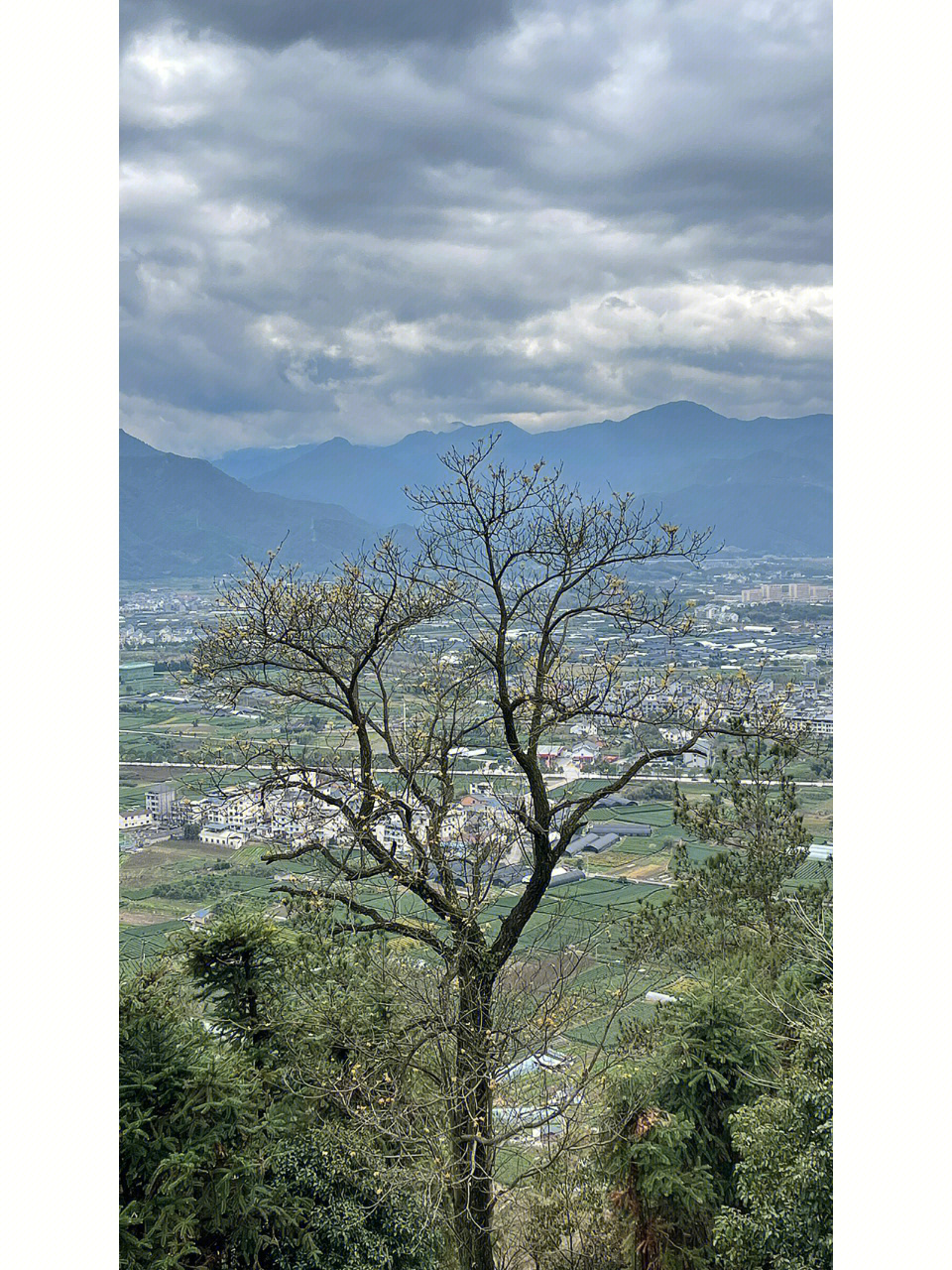 松阳独山顶登高望远处