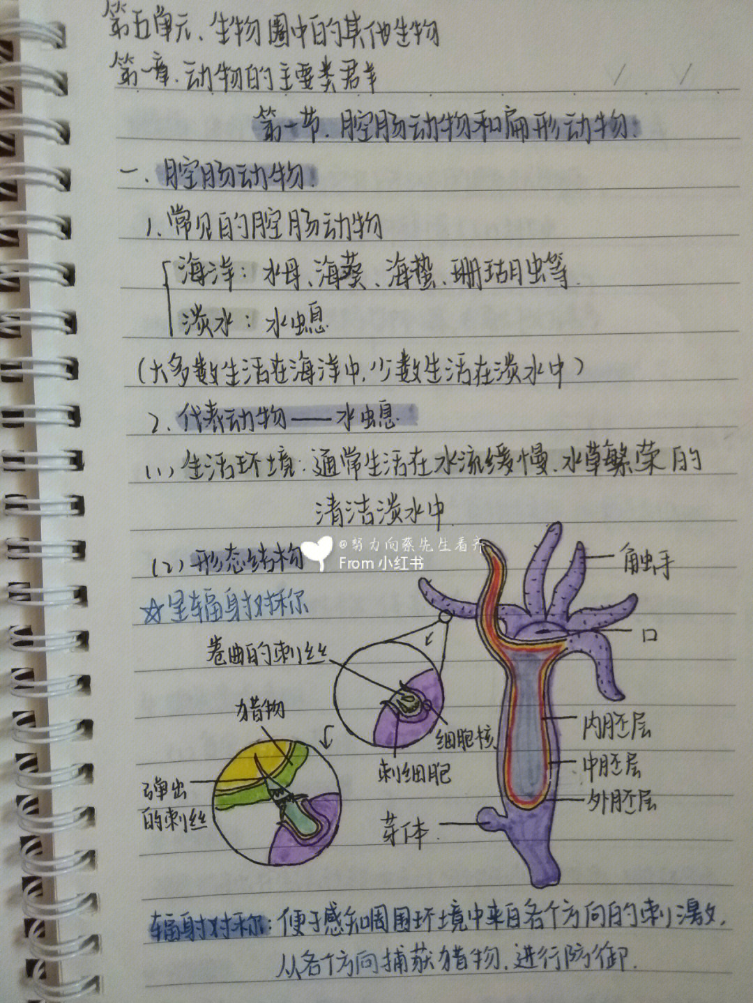 初二上册生物笔记图片图片