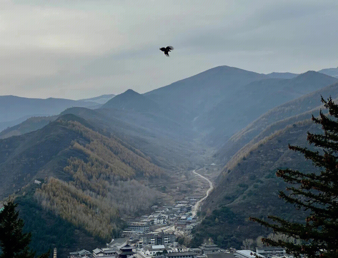 西安五台山游记