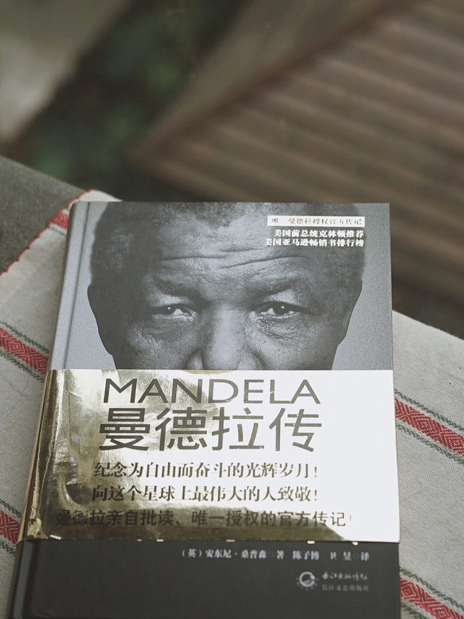 传记《曼德拉》,纪念为自由而奋斗的光辉岁月