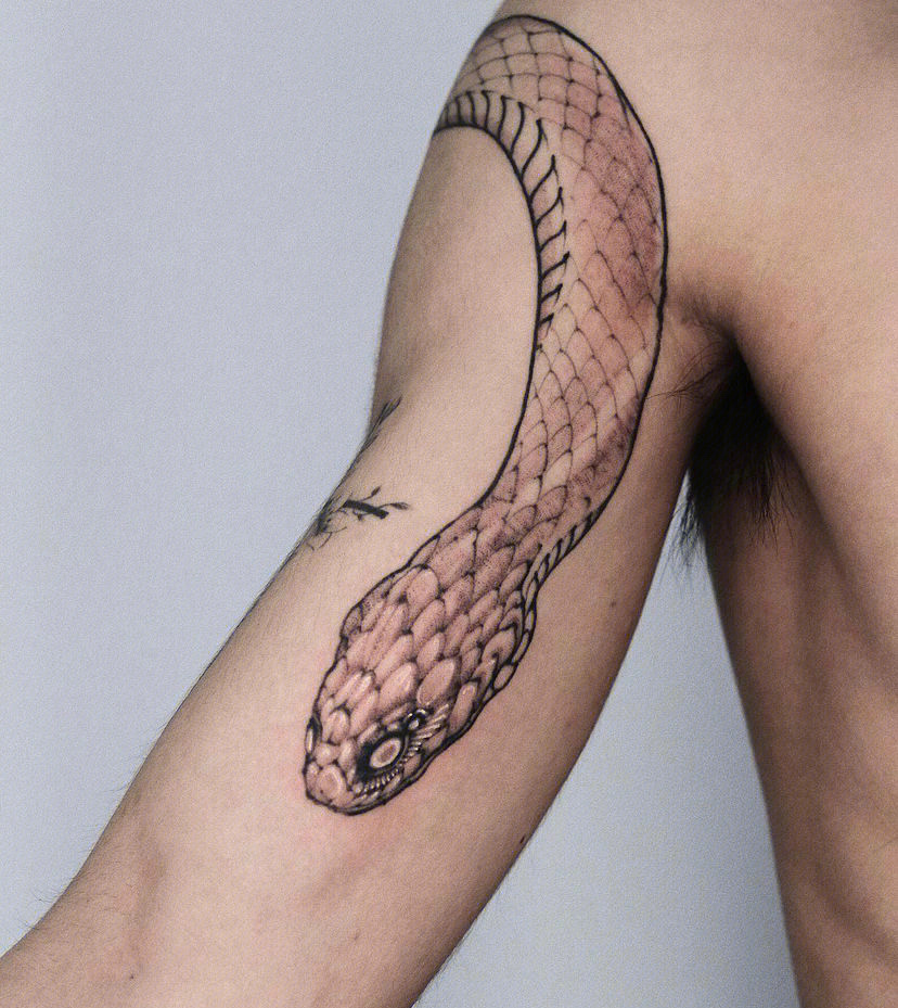 绕着手臂的蛇纹身图片
