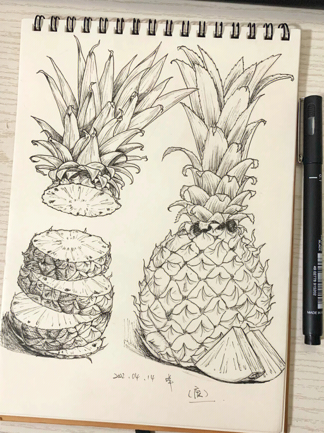 速写菠萝图片