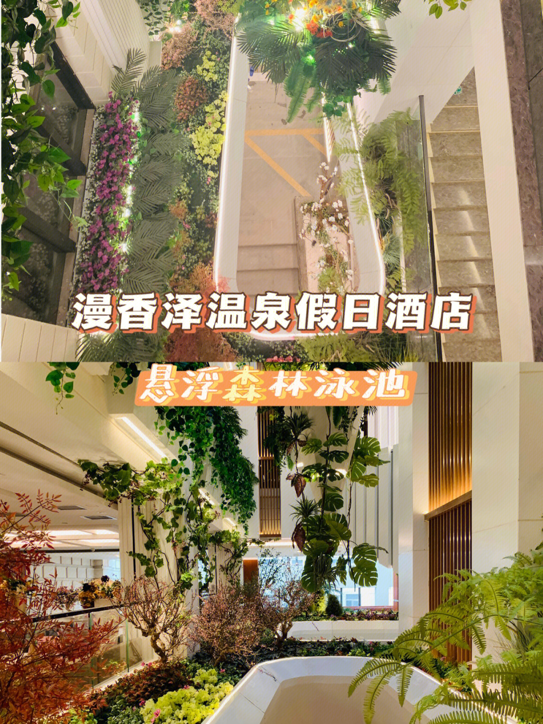 城南温泉假日酒店图片