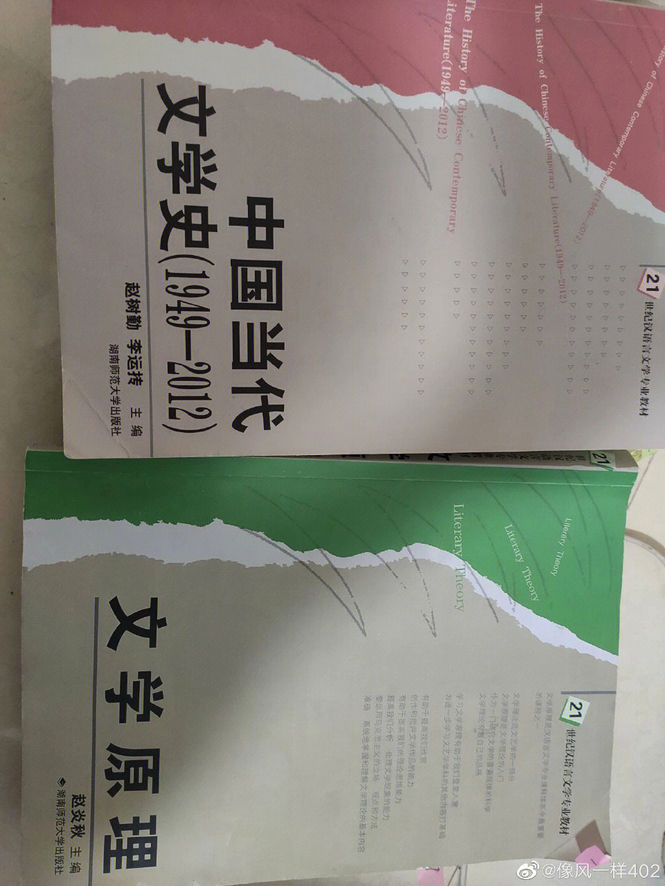 研一在读学姐来出资料了真题 笔记 文学评论资料等等…应有尽有发