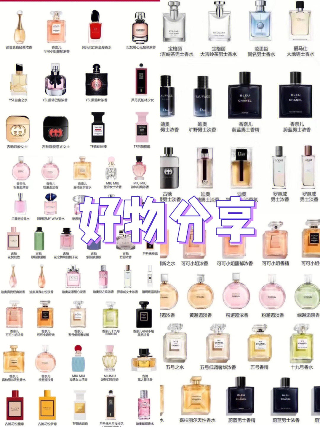 世界香水排名图片