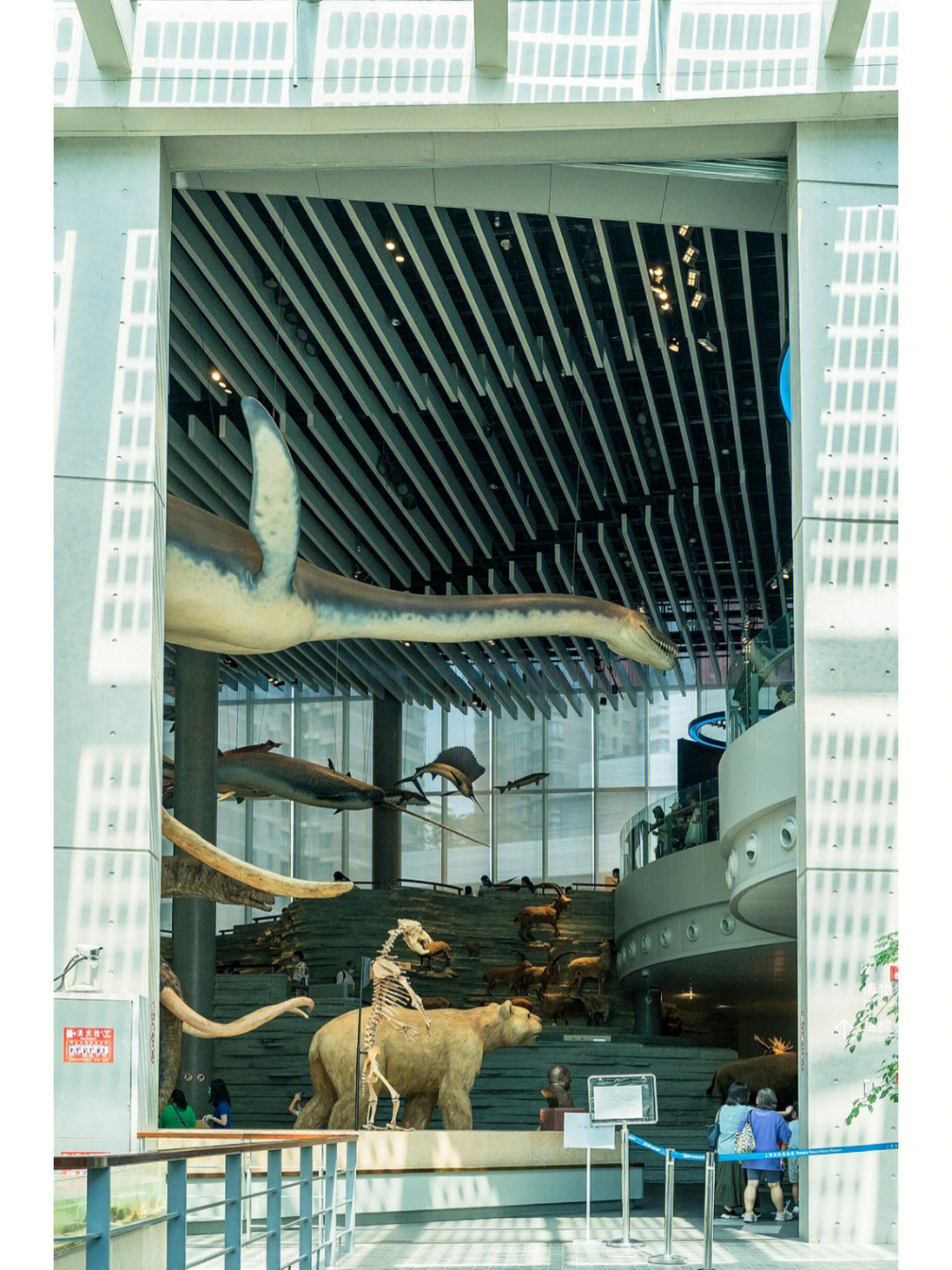 云游上海自然博物馆图片