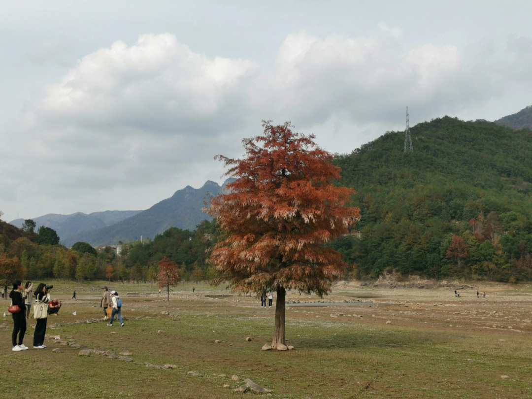 奉化亭下湖岙底村图片