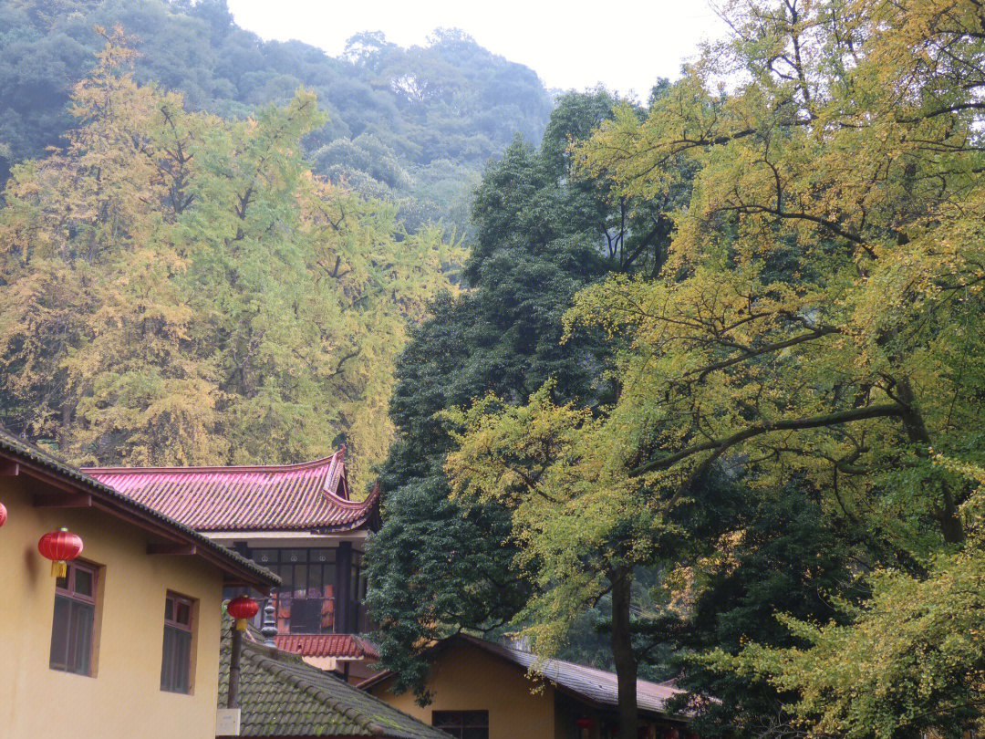 栾川白岩寺图片