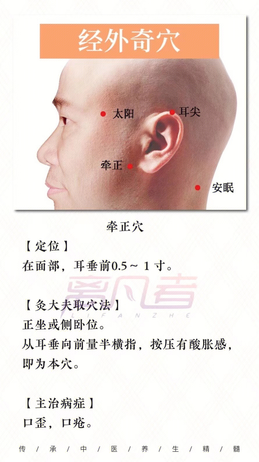 左脸面瘫艾灸什么部位图片