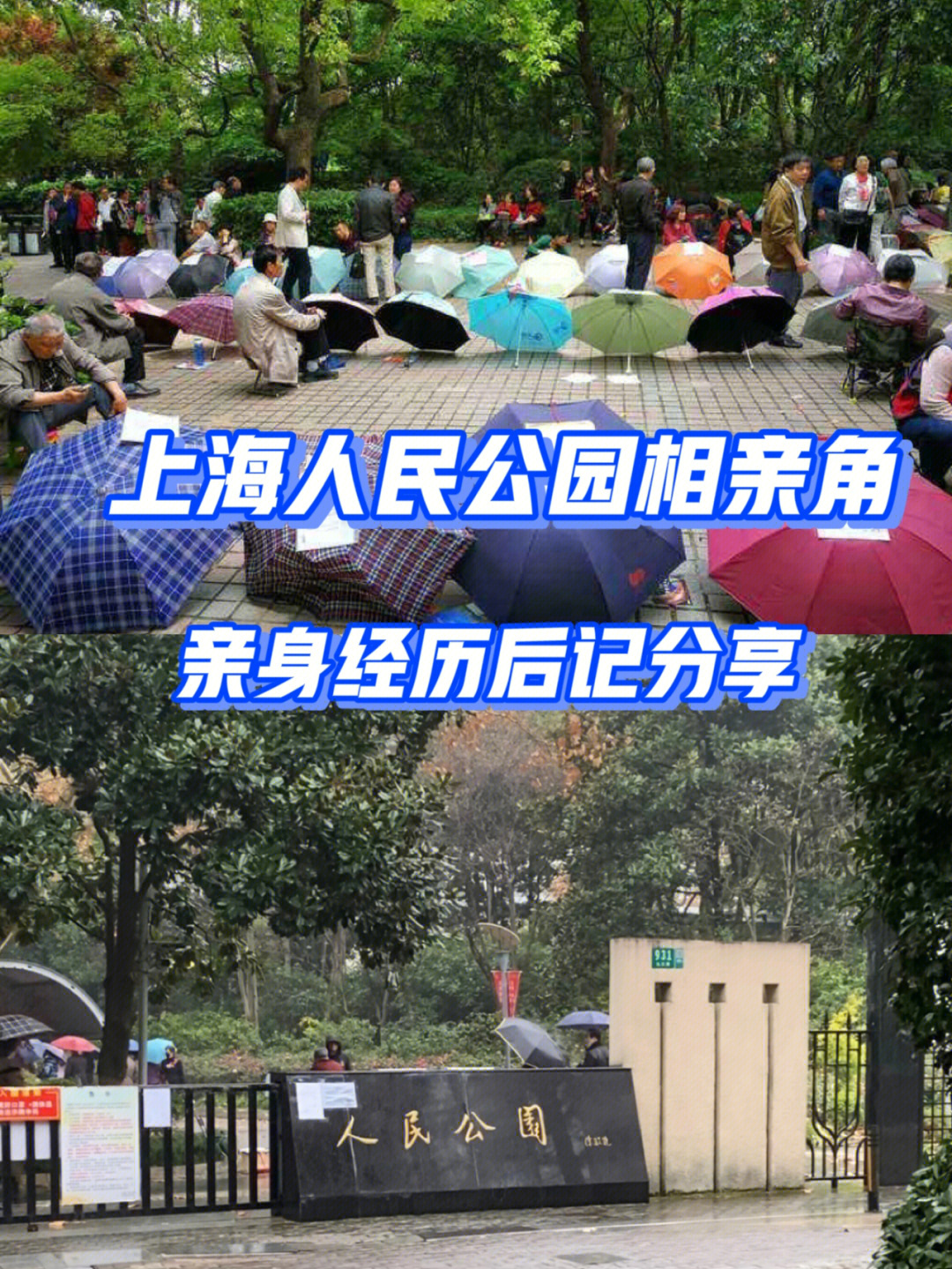 探店上海人民公园相亲角后记6565说真的, 我跟朋友都是 90后, 快