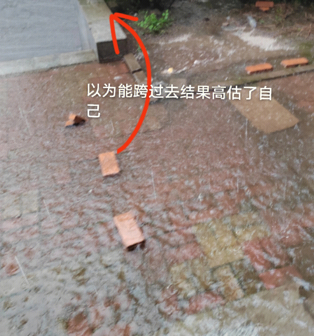 下雨挨浇图片