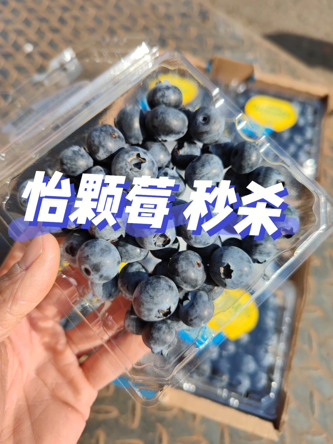 怡颗莓蓝莓等级L12图片