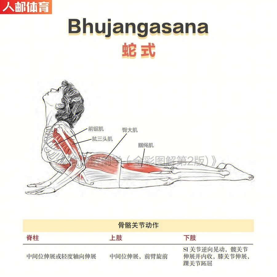 教你6个瑜伽动作,下班回家做一做,让紧绷的肌肉回到放松舒张的状态!