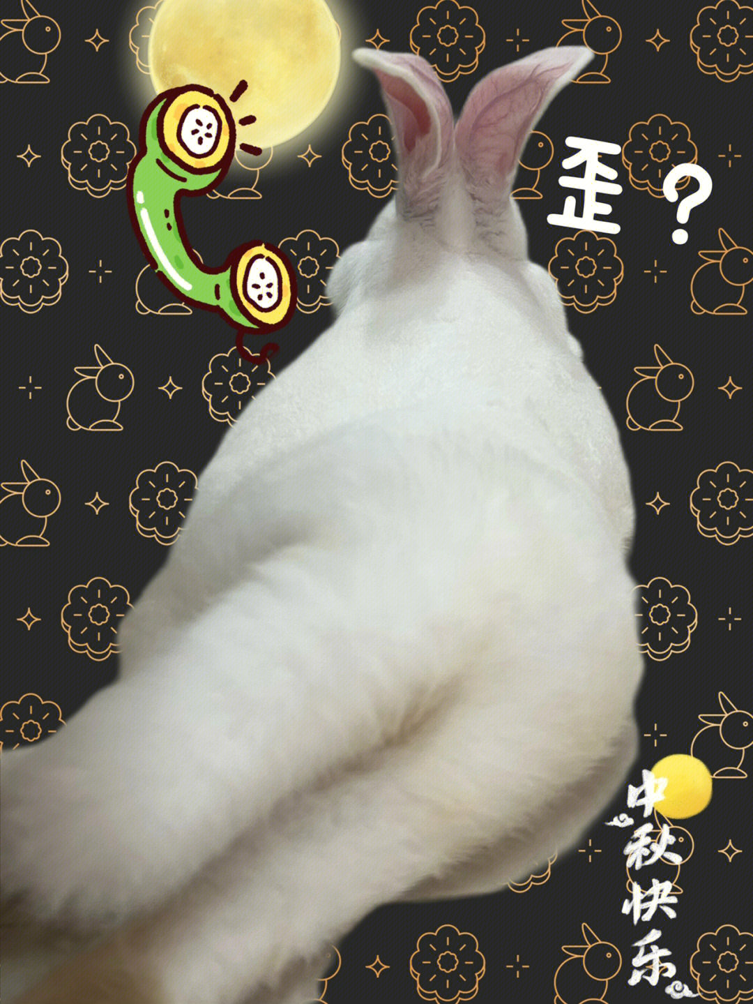 doge猫头图片