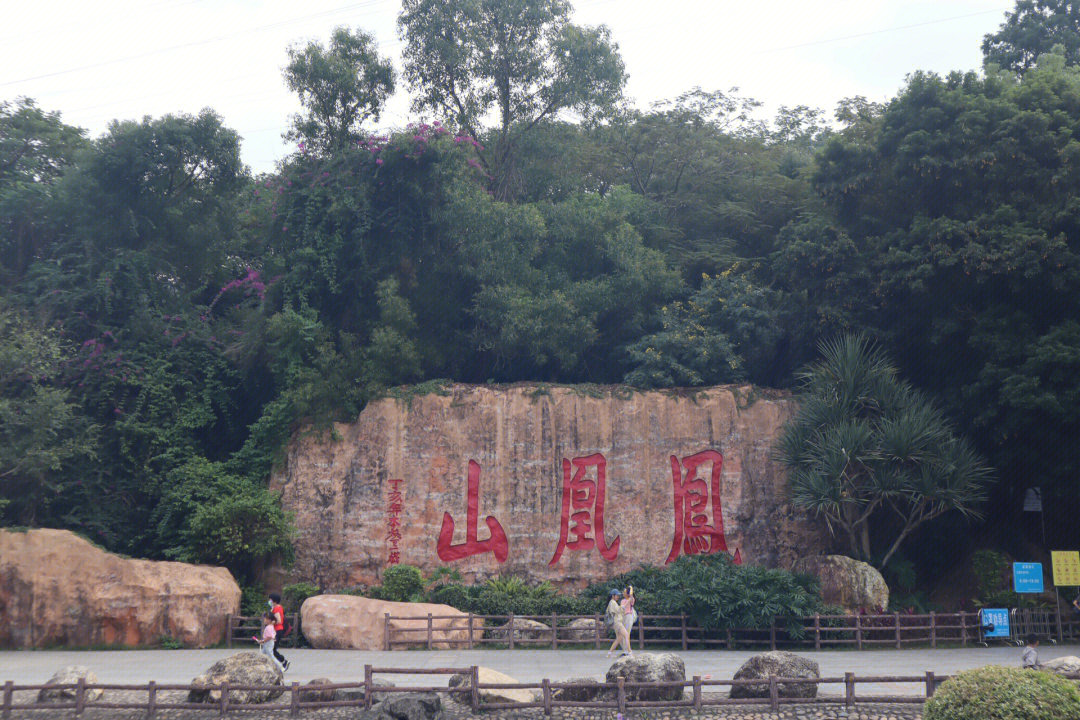 深圳凤凰山森林公园