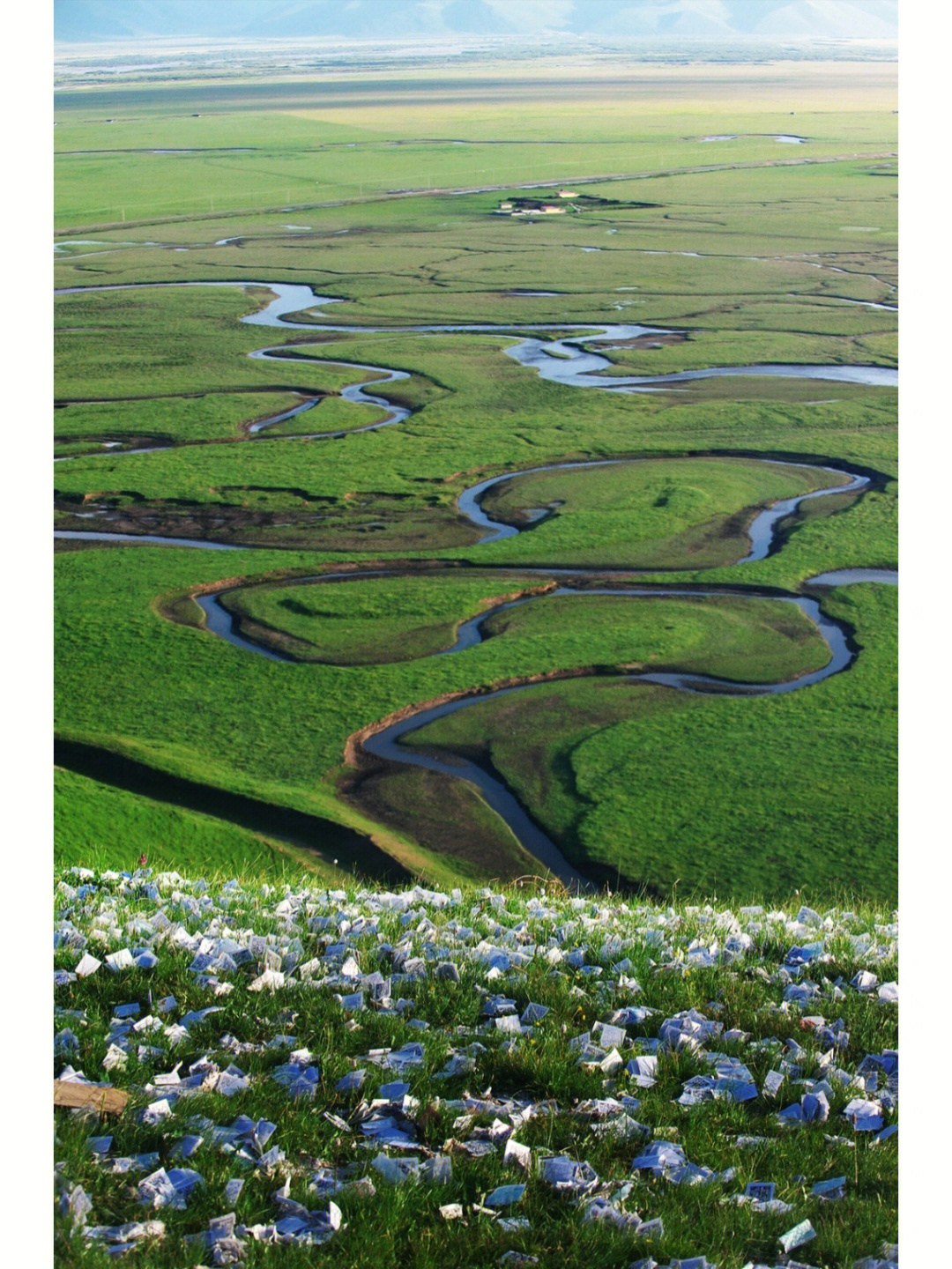 阿万仓湿地地图图片