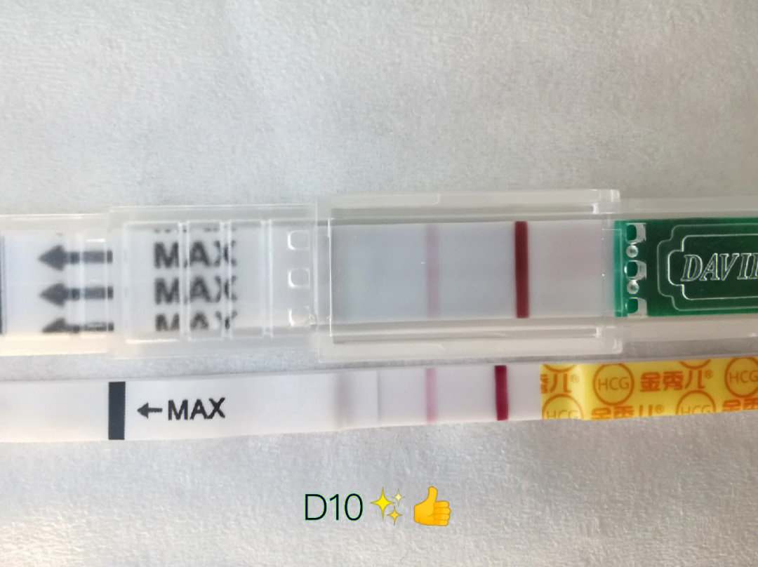 移植后第十天水印图片图片