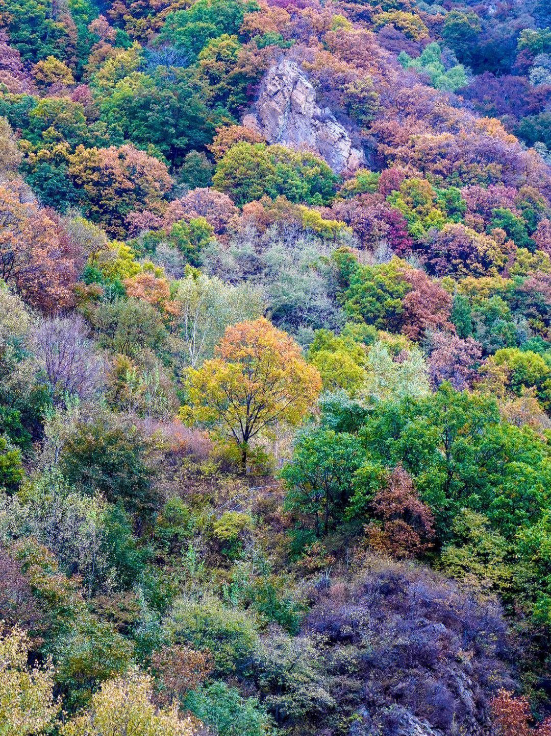 百瑞谷自然风景区图片图片