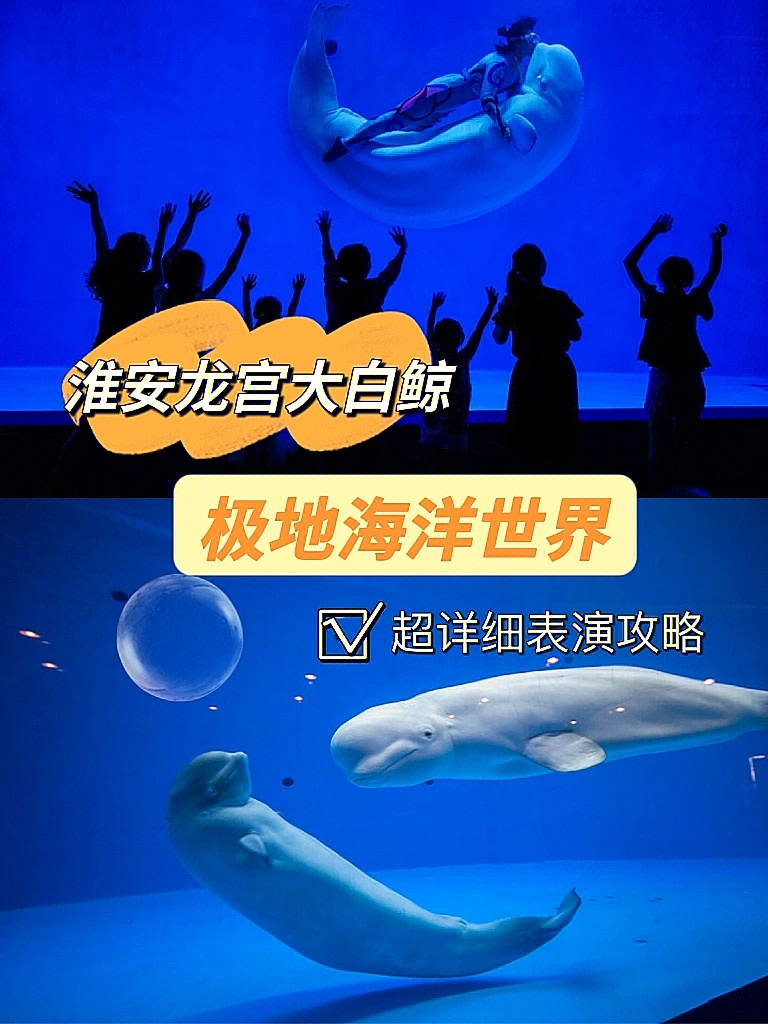 芜湖大白鲸海洋馆攻略图片