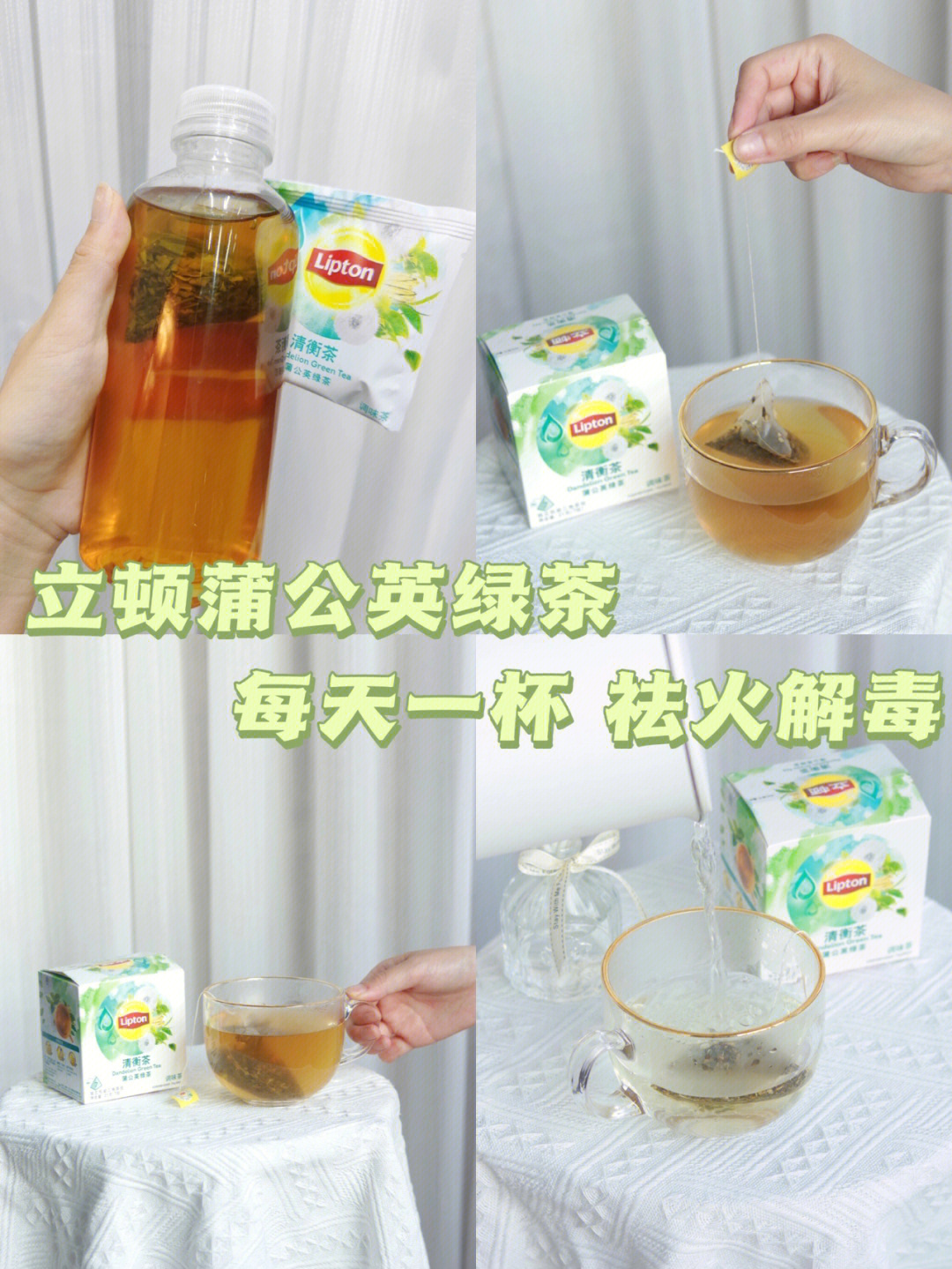 立顿蒲公英清衡茶图片