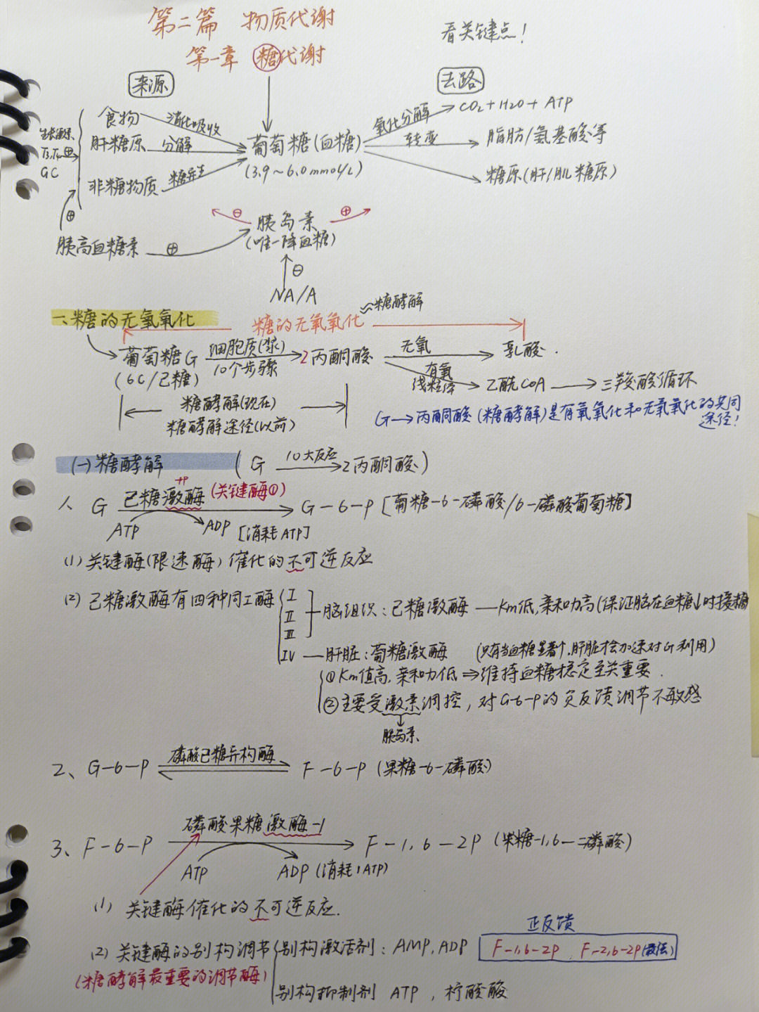 蔗糖思维导图图片