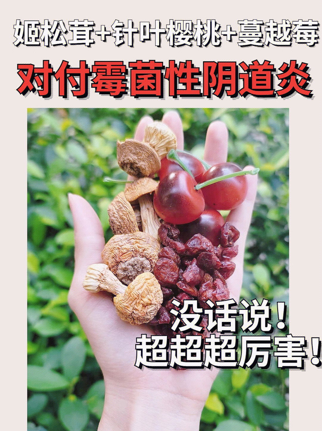 严重念珠菌性阴炎图片图片