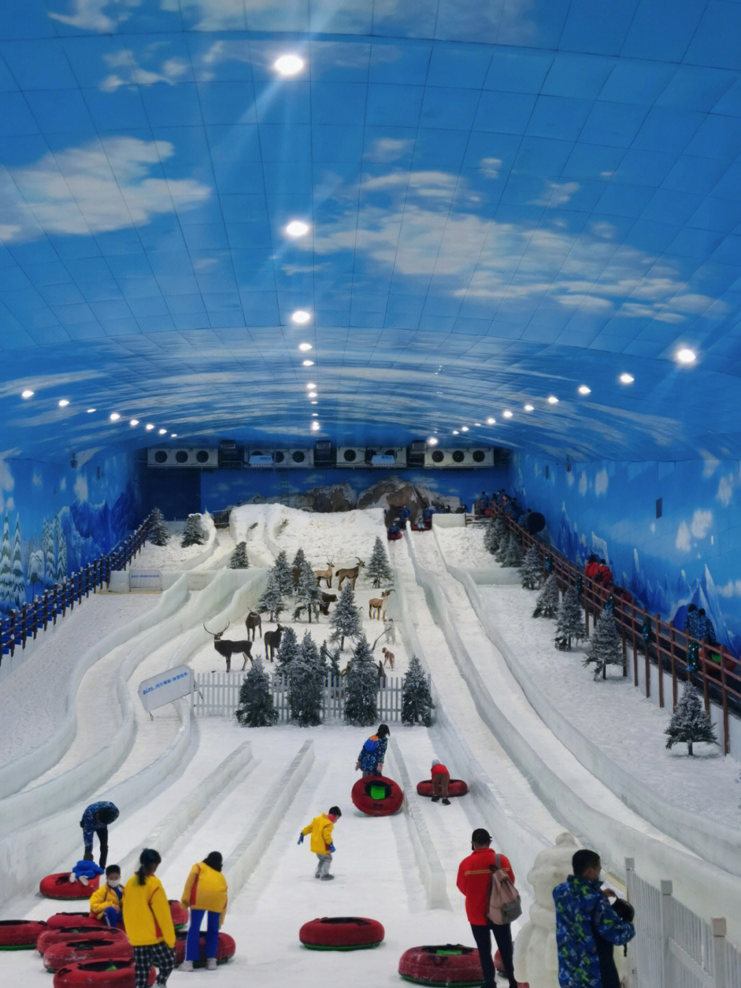 深圳溜娃玩雪好去处阿尔卑斯冰雪世界