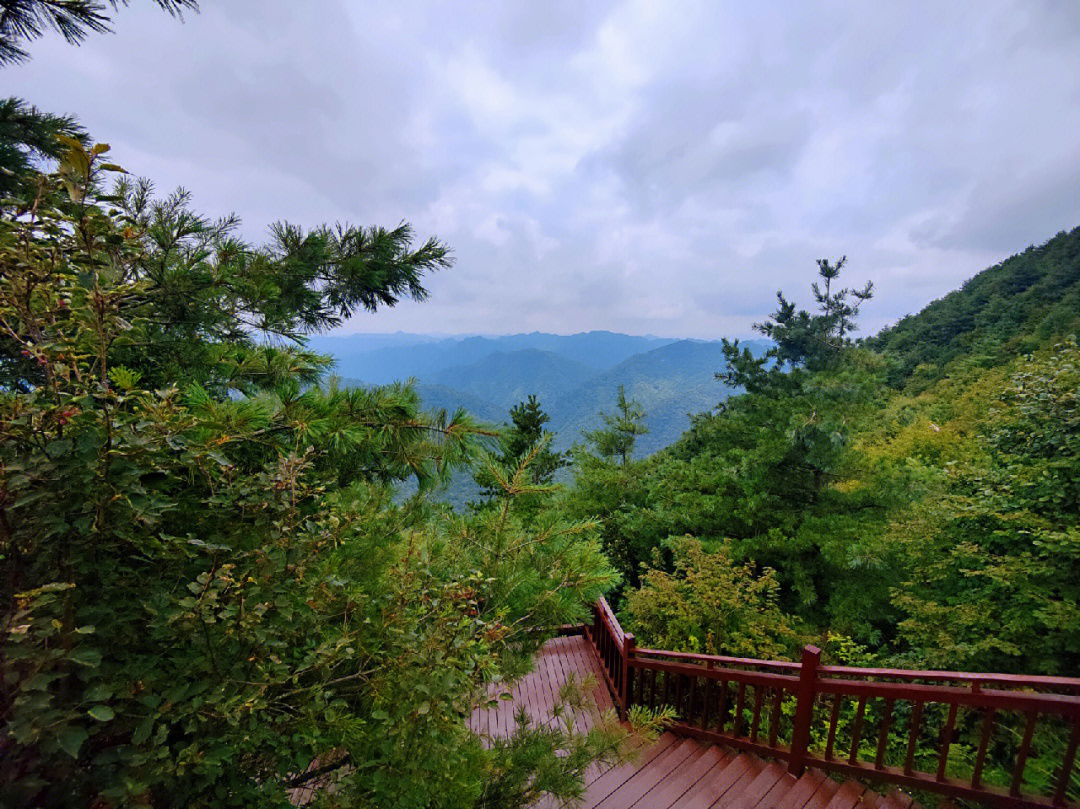 紫柏山自然风景区图片