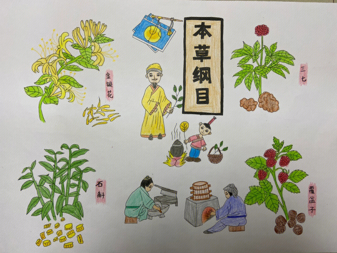 中医药文化主题手绘画图片
