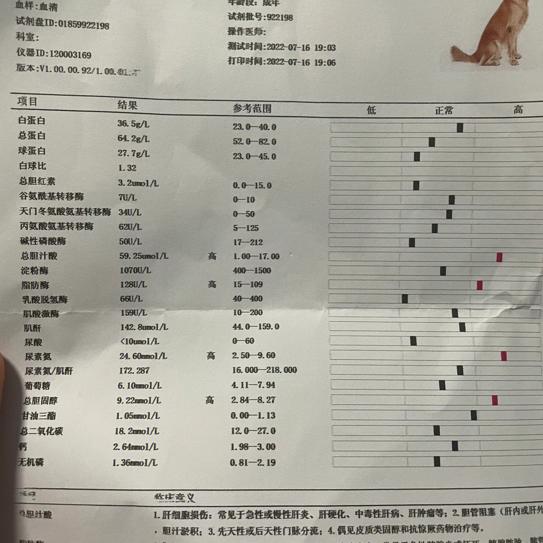 总胆汁酸高说明什么图片