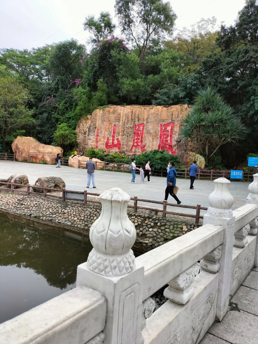 深圳龙岗凤凰山图片