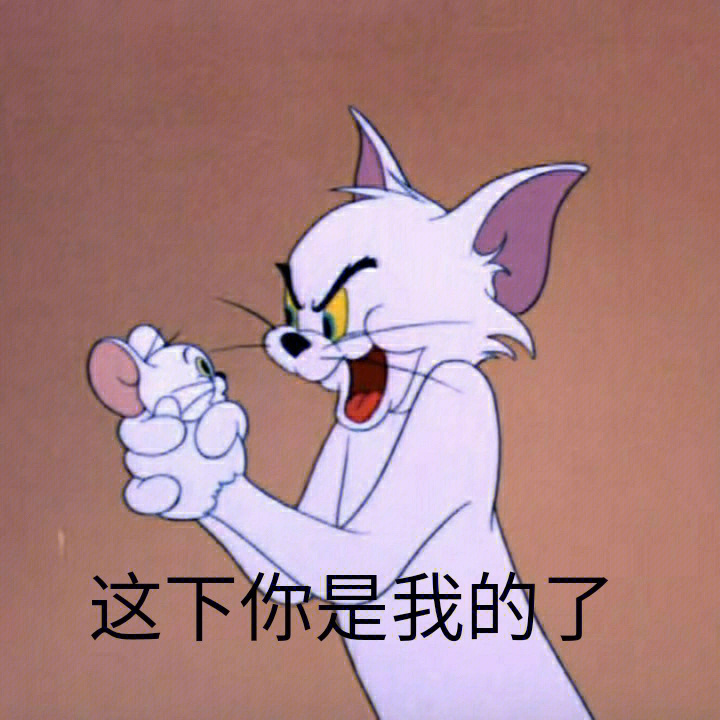 猫和老鼠表情包分享