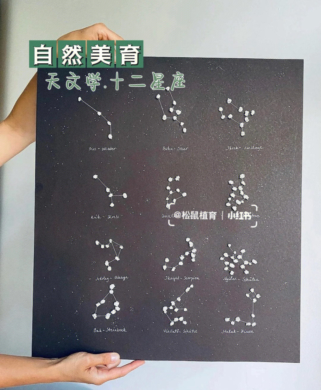 小学自然课本星座图片图片