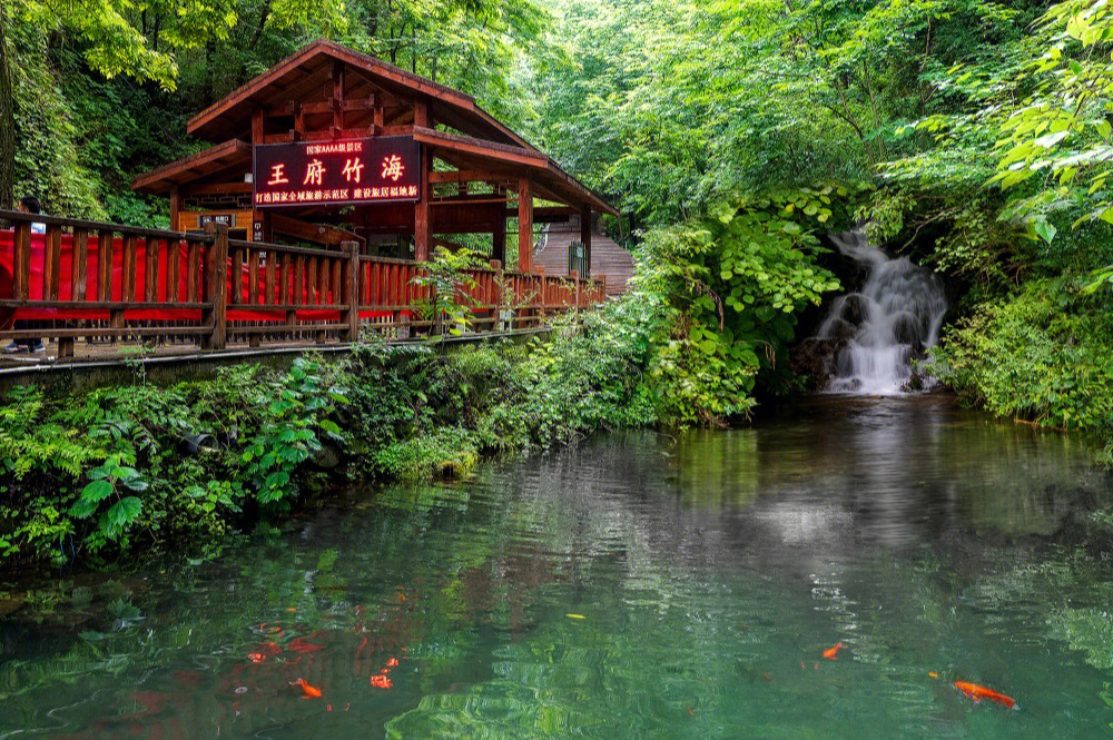 洛阳旅游年票王府竹海图片