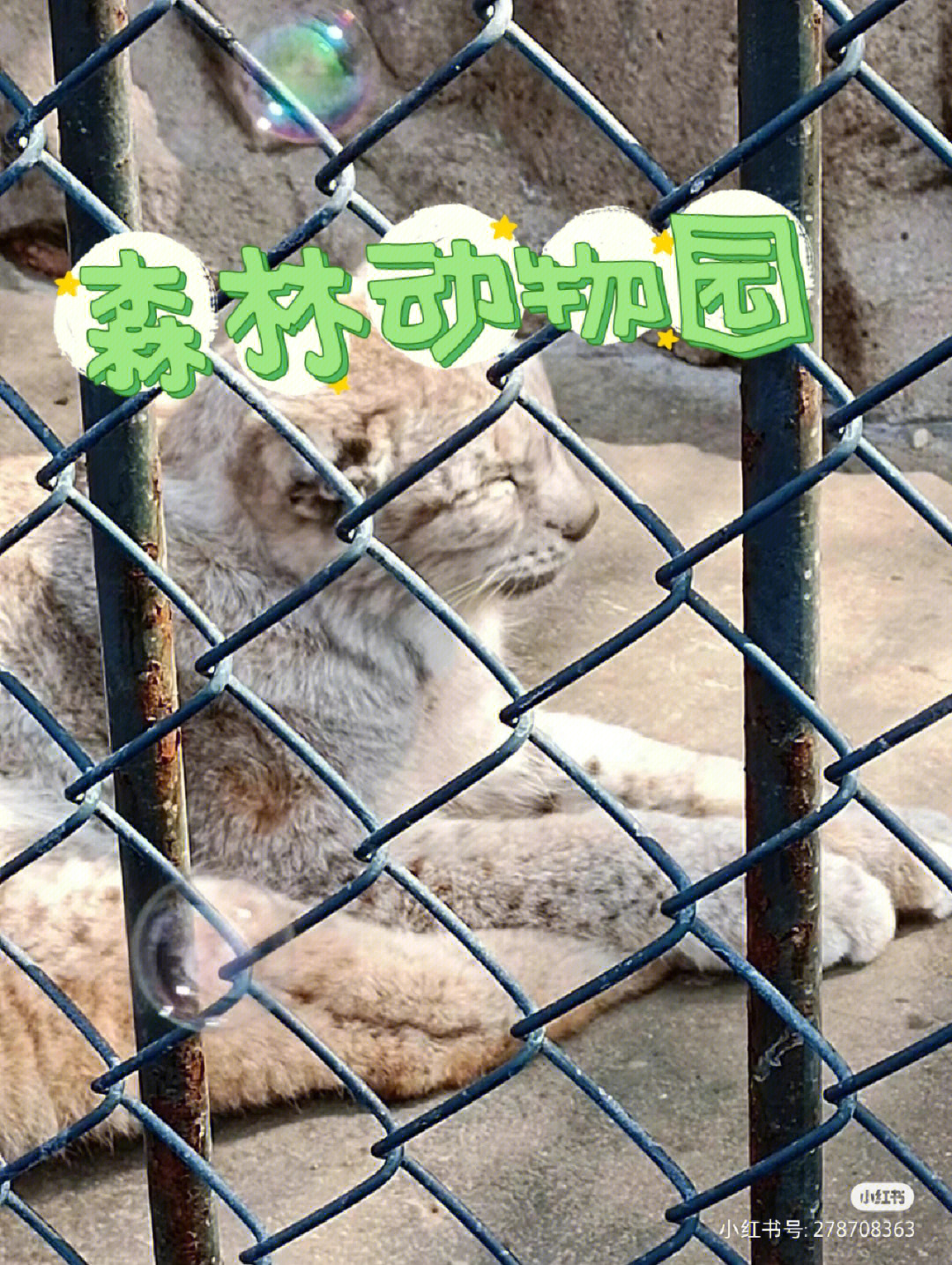 薛城动物园图片