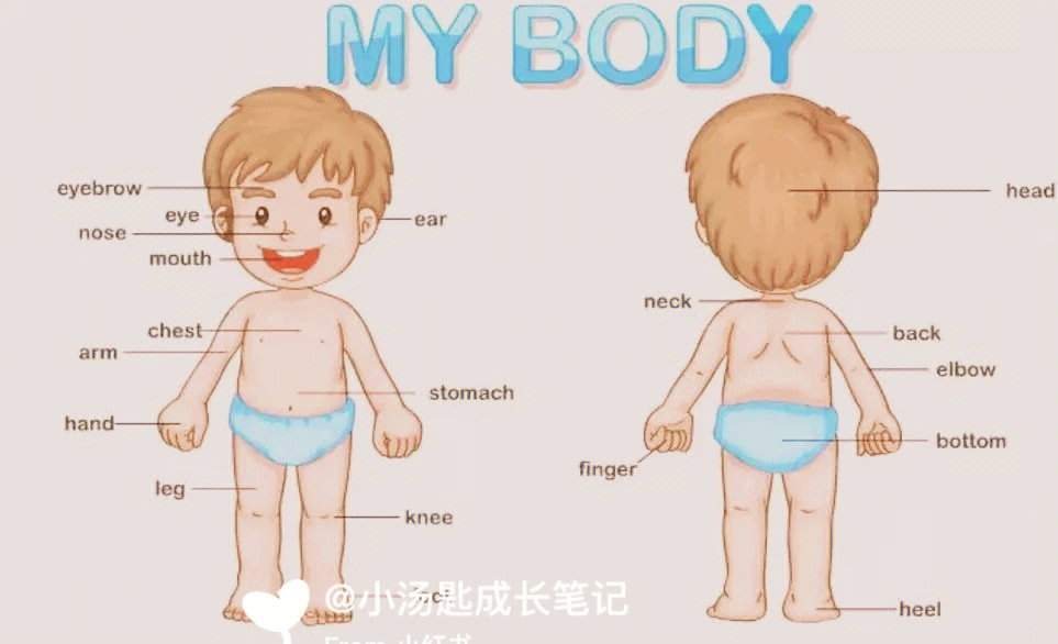 可以搭配 sss英文儿歌head shoulder knee and toes , 日常游戏,跟