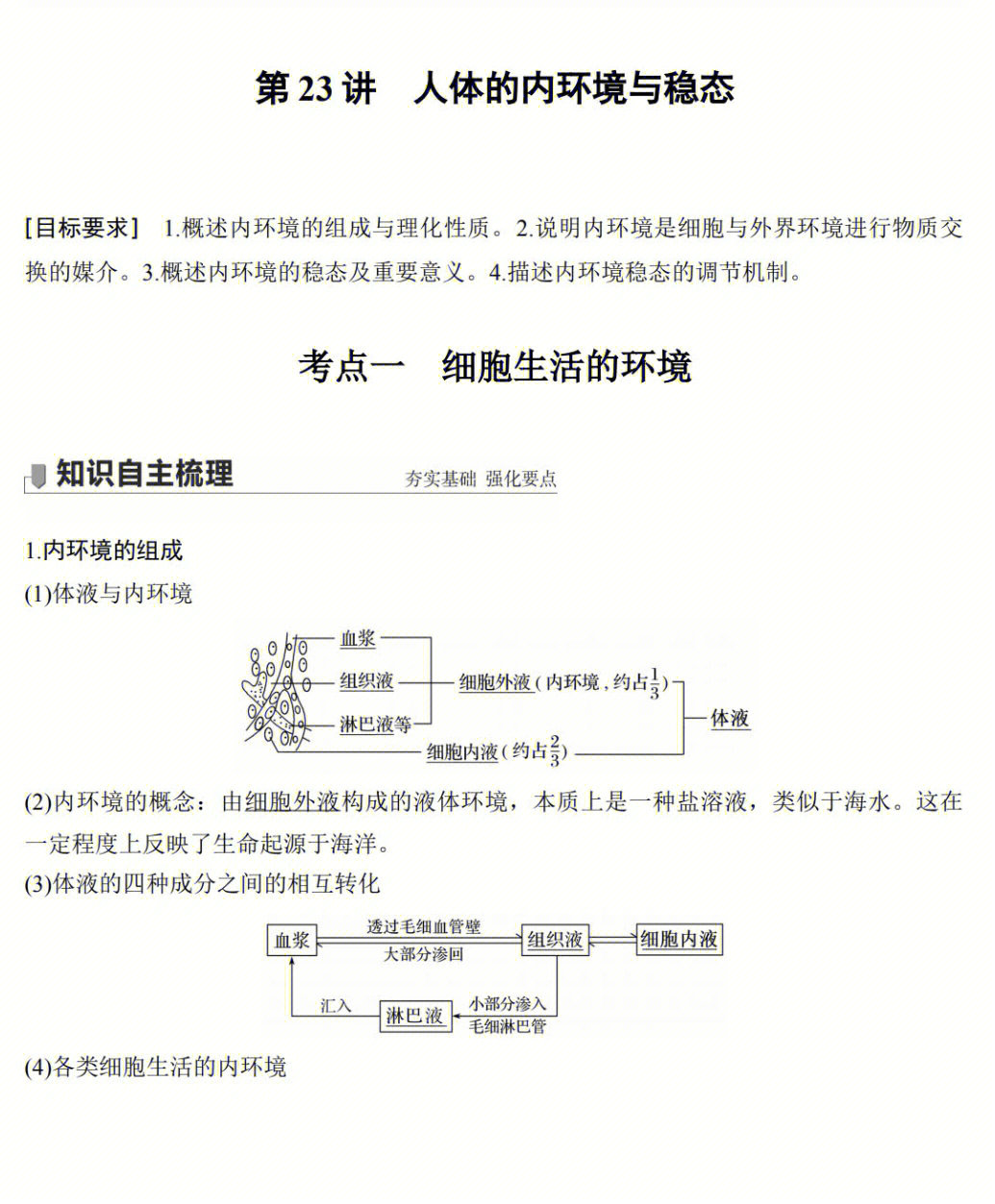 内环境思维导图图片