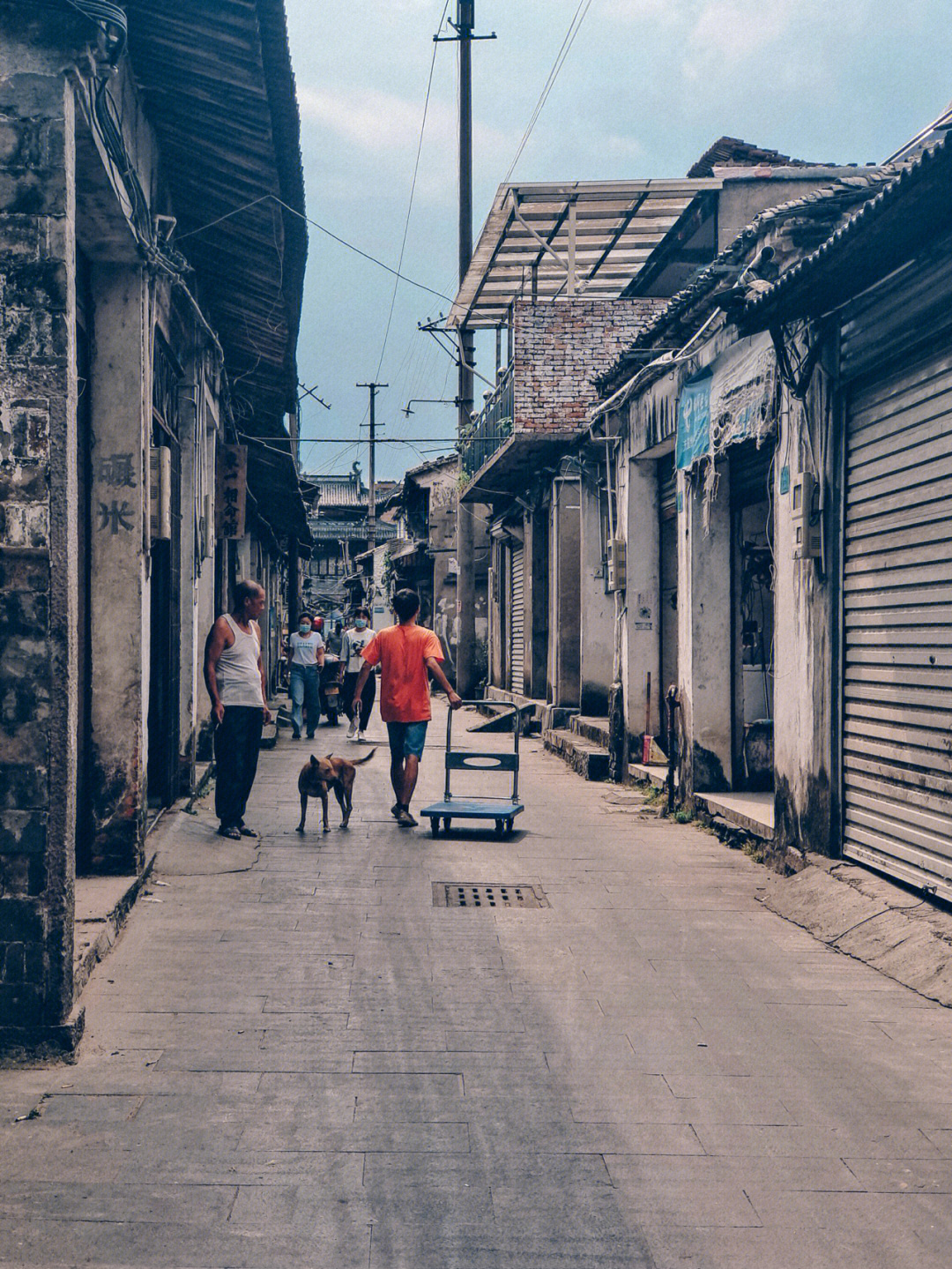 仙居西门街图片