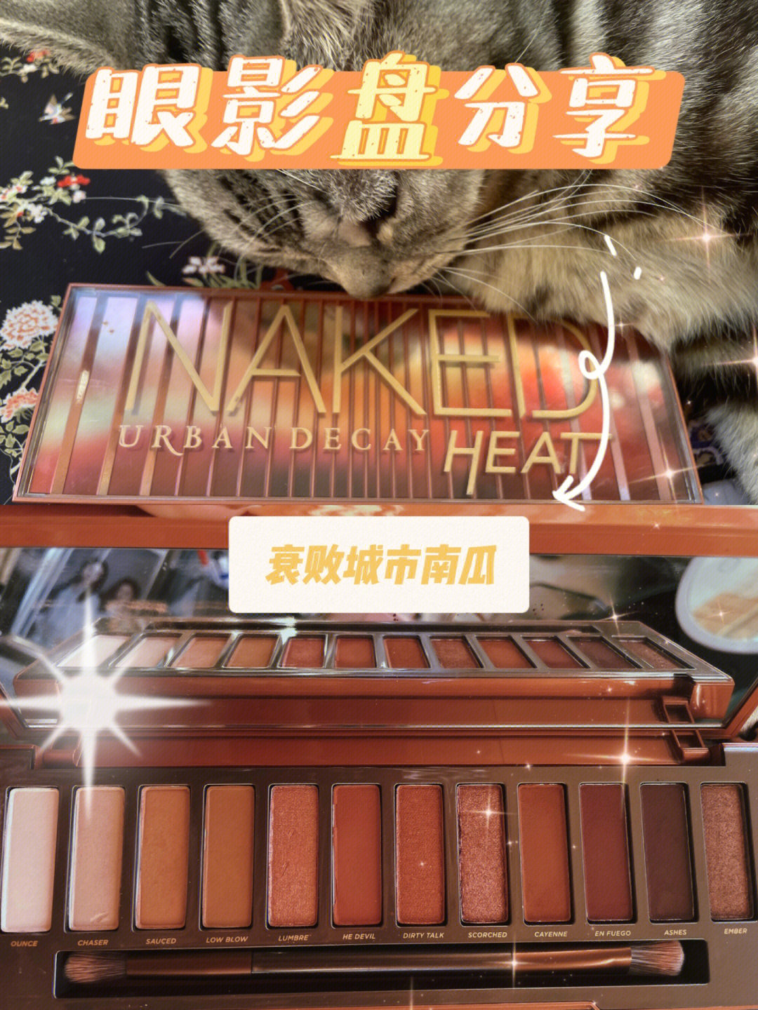眼影盘分享衰败城市南瓜盘一盘打天下