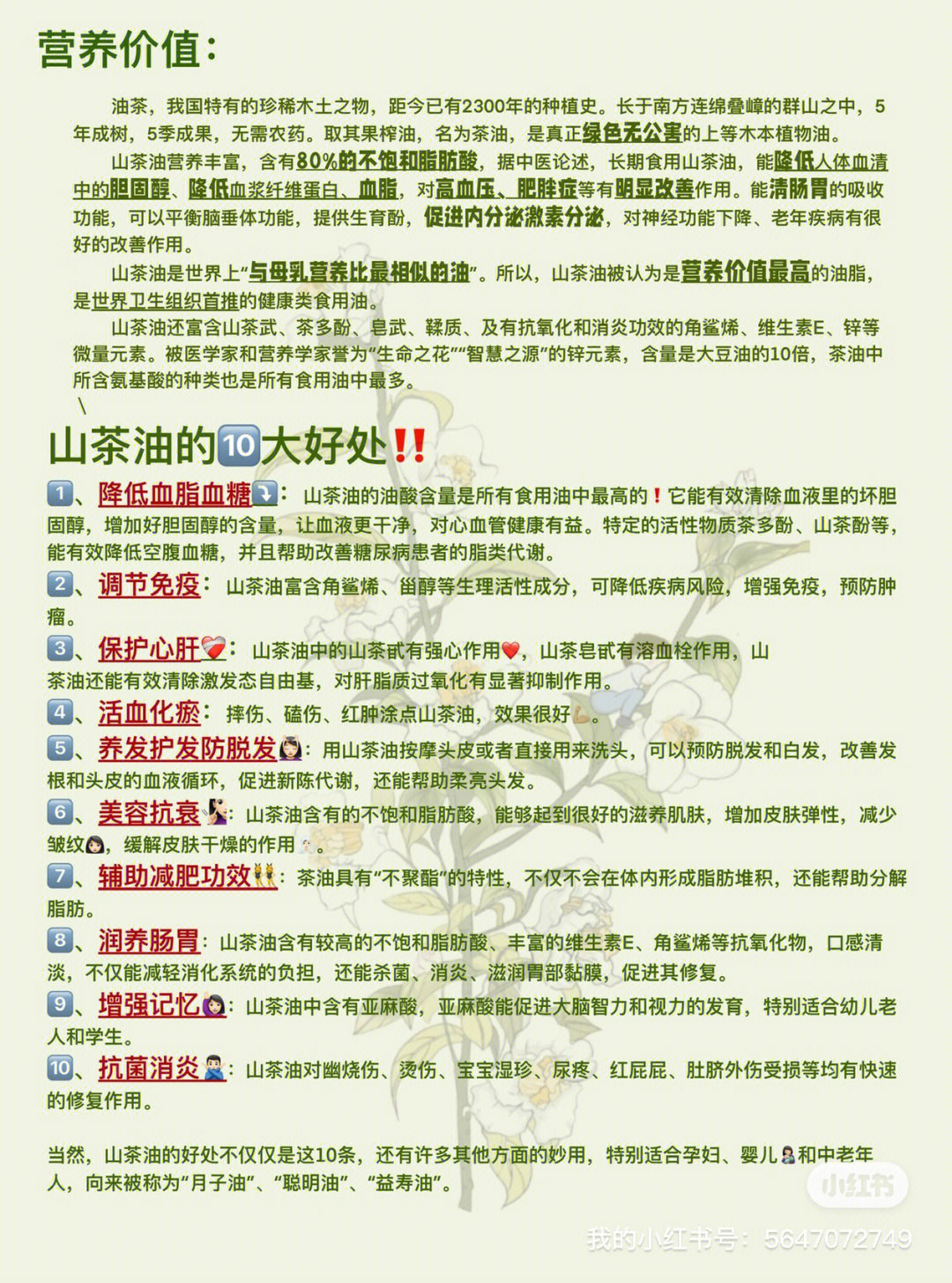 油茶的功效与作用图片