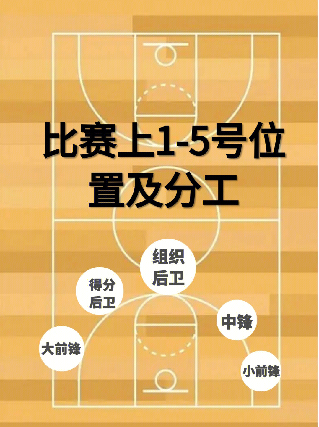 篮球五人分工站位图图片